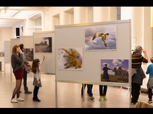 3D Galerie Gewinner der Wettbewerbe 2012-2019