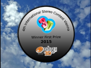 International 3D Stereo Photo Contests